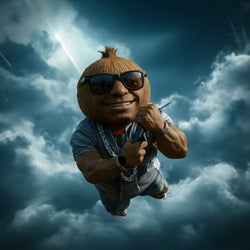 la vie d'coco