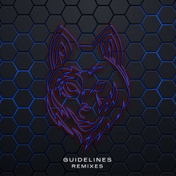Guidelines (Remixes)