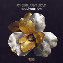 Need You Now (Ronan Remix)