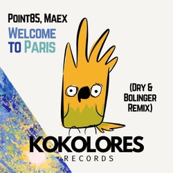 Welcome To Paris (Dry & Bolinger Remix)