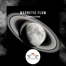 Magnetic Flow