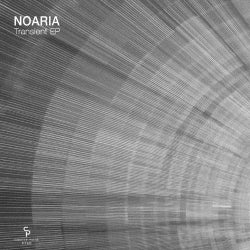 Transient Chart By Noaria