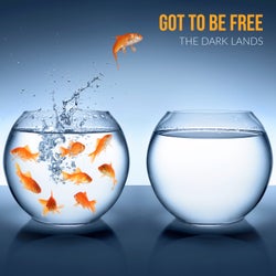 Got to Be Free