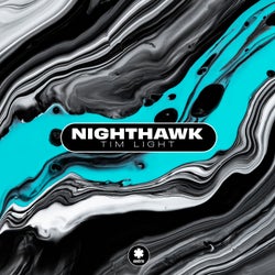 Nighthawk (Extended Mix)