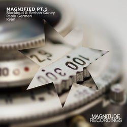 Magnified Pt. 1