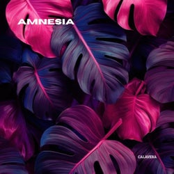 Amnesia