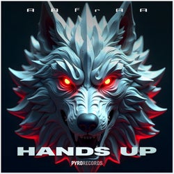 Hands Up (Mixes)