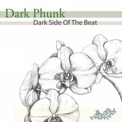 Dark Phunk - Dark Side Of The Beat