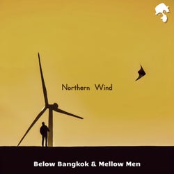 Northern Wind