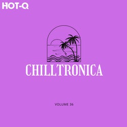 Chilltronica 036