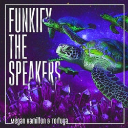 Funkify The Speakers
