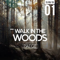 Walk in the woods charts