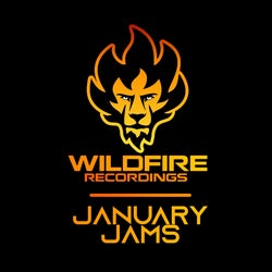 Wildfire Recordings- January Jams