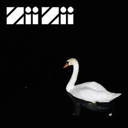 ZiiZii Records - Release Yourself