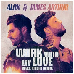 Work With My Love (Mark Knight Dub Remix)