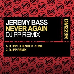 Never Again (DJ PP Remix)