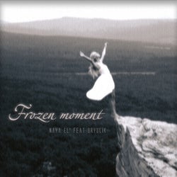 Frozen Moment
