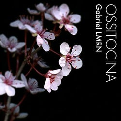 Ossitocina