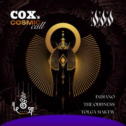 Cosmic Call
