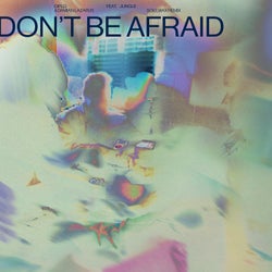 Don't Be Afraid (Soulwax Remix)