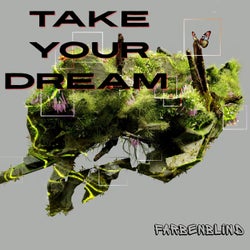 Take Your Dream