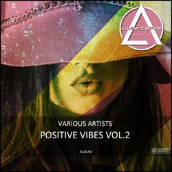 VA Positive Vibes, Vol. 2