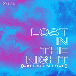 Lost in the Night (Falling in Love)