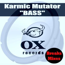 Bass(Breaks Mixes)