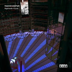 Nightwalk Puzzle