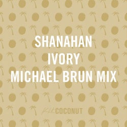 Ivory (Michael Brun Mix)