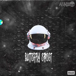 Butterfly Effect