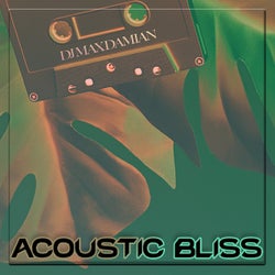 Acoustic Bliss