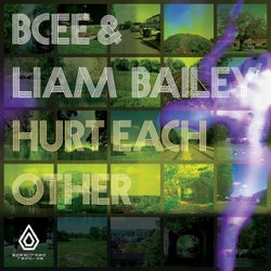 Hurt Each Other (feat. Liam Bailey)