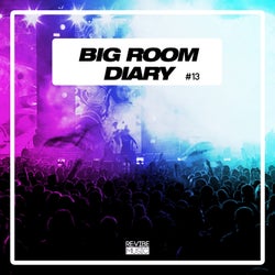 Big Room Diary, Vol. 13