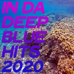 In Da Deep Blue Hits 2020 (House Music Summer Selection Hits 2020)