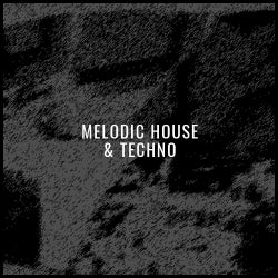 Melodic House and Techno