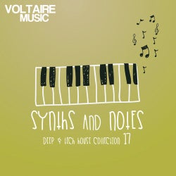 Synths And Notes 17
