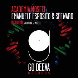 Academia Moseel