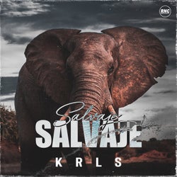 Salvaje