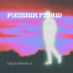 Phoenix Found Collection, Vol. 8