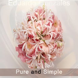 Pure and Simple