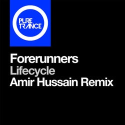 Lifecycle - Amir Hussain Remix