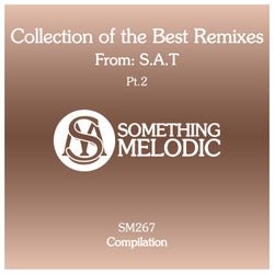 Collection of the Best Remixes From: S.a.t, Pt. 2