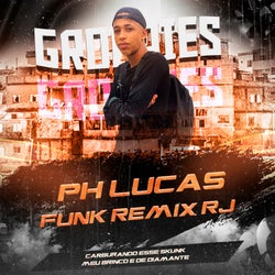 Carburando Esse Skunk X Meu Brinco É De Diamante (Groupies - Funk Remix RJ)