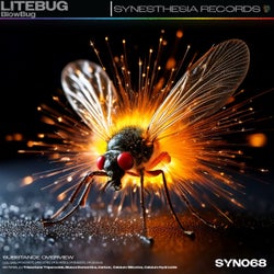 Blowbug