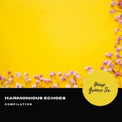 Harmonious Echoes