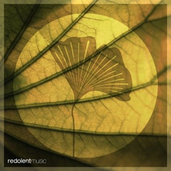 Teardrop (Stevie Keys Remix)