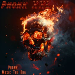 Phonk Music Top Dog