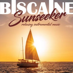 Sunseeker, relaxing instrumental music