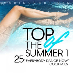 Top of the Summer (25 Everybody Dance Now Cocktails), Vol. 1
